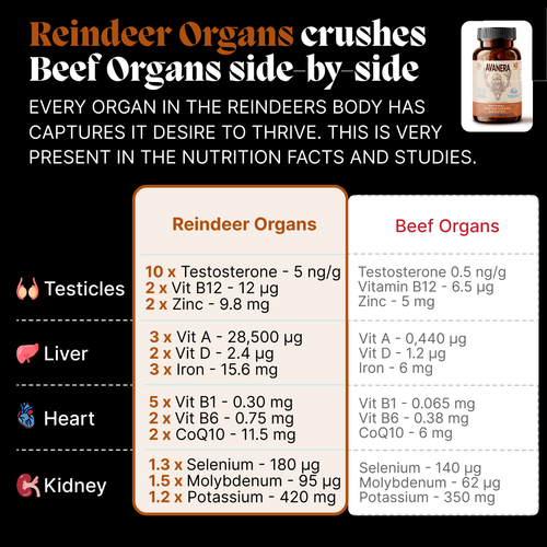 Avanera - Ancestral Testosterone Booster