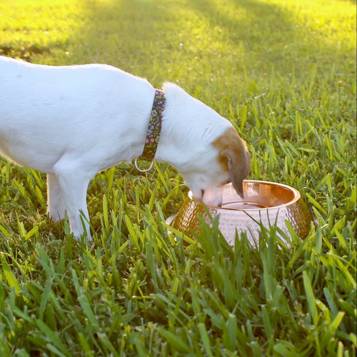 Handmade Pure Copper Pet Bowl