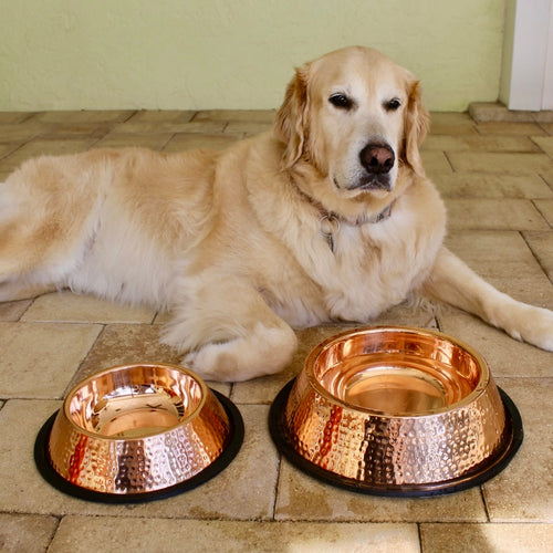Handmade Pure Copper Pet Bowl